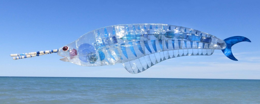 GlassCatfish1