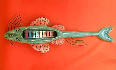 Musical Sawfish Xylophone